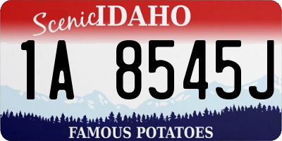 ID license plate 1A8545J