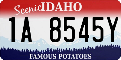 ID license plate 1A8545Y