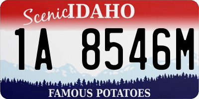 ID license plate 1A8546M
