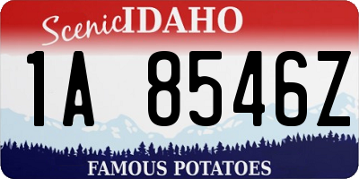 ID license plate 1A8546Z