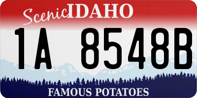 ID license plate 1A8548B