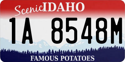 ID license plate 1A8548M