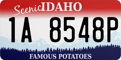 ID license plate 1A8548P