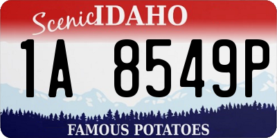 ID license plate 1A8549P