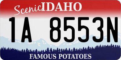 ID license plate 1A8553N