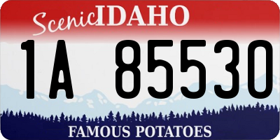 ID license plate 1A8553O