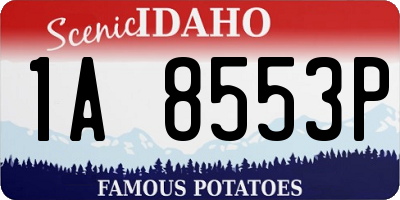 ID license plate 1A8553P