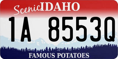 ID license plate 1A8553Q