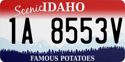 ID license plate 1A8553V