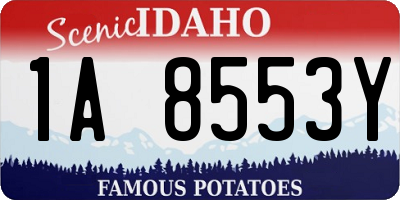 ID license plate 1A8553Y