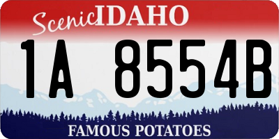 ID license plate 1A8554B