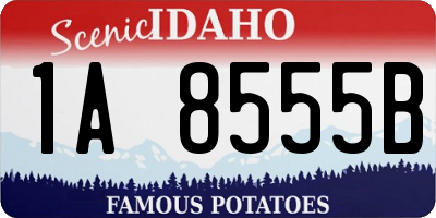 ID license plate 1A8555B