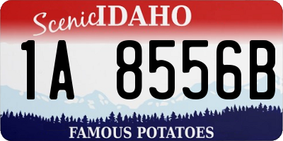 ID license plate 1A8556B