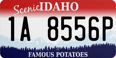 ID license plate 1A8556P