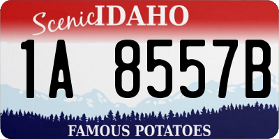 ID license plate 1A8557B