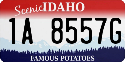 ID license plate 1A8557G