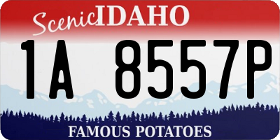 ID license plate 1A8557P