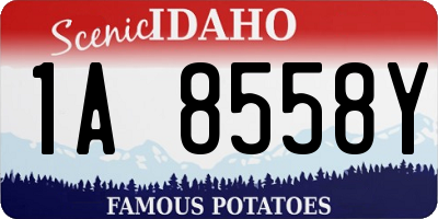 ID license plate 1A8558Y