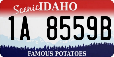 ID license plate 1A8559B