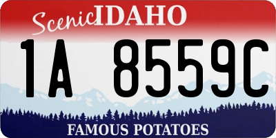 ID license plate 1A8559C