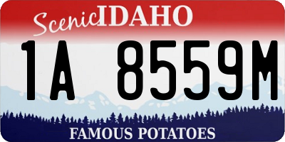 ID license plate 1A8559M