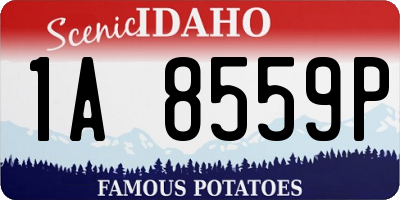 ID license plate 1A8559P