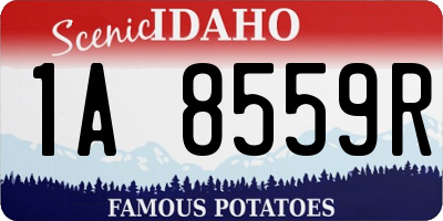 ID license plate 1A8559R