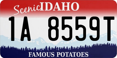 ID license plate 1A8559T