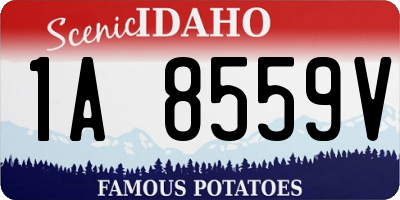 ID license plate 1A8559V