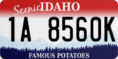 ID license plate 1A8560K