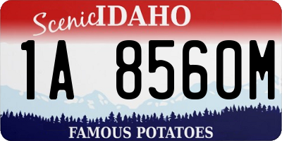 ID license plate 1A8560M