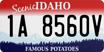 ID license plate 1A8560V