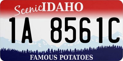 ID license plate 1A8561C