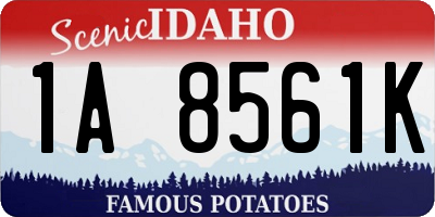 ID license plate 1A8561K