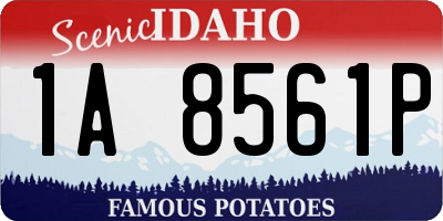 ID license plate 1A8561P