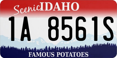 ID license plate 1A8561S