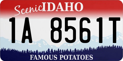 ID license plate 1A8561T