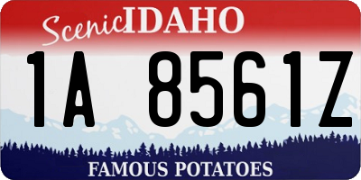ID license plate 1A8561Z