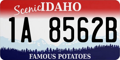 ID license plate 1A8562B