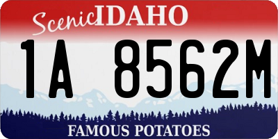 ID license plate 1A8562M