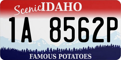 ID license plate 1A8562P
