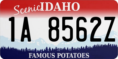 ID license plate 1A8562Z