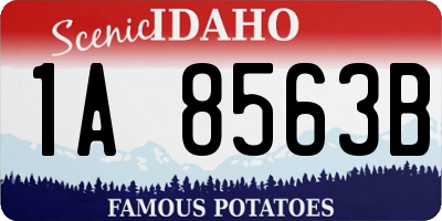 ID license plate 1A8563B
