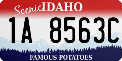 ID license plate 1A8563C