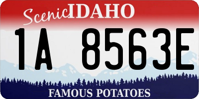 ID license plate 1A8563E