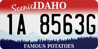 ID license plate 1A8563G