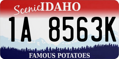 ID license plate 1A8563K