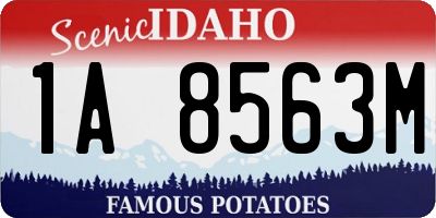 ID license plate 1A8563M