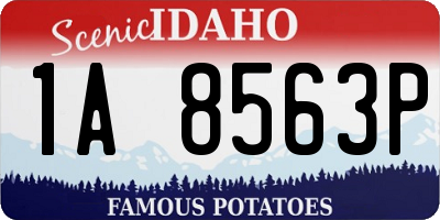 ID license plate 1A8563P