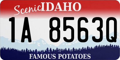 ID license plate 1A8563Q
